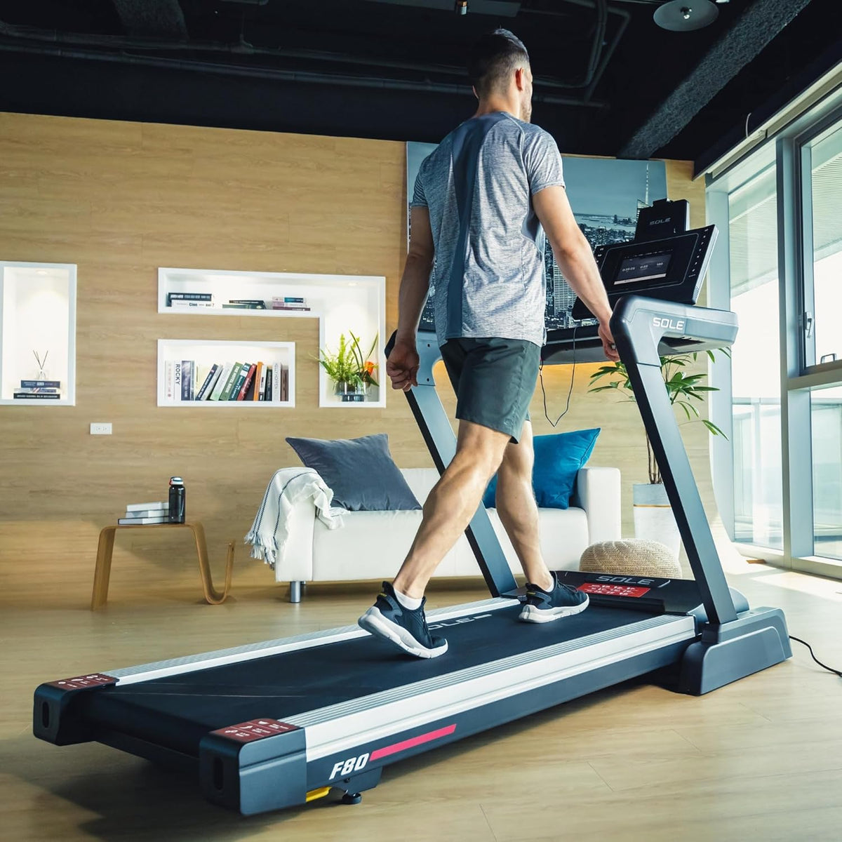 Sole Fitness F80 Treadmill, New Model