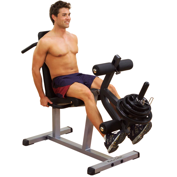 Body Solid GLCE365 Seated Leg Extension & Supine Curl – Commercial Lower Body Machine